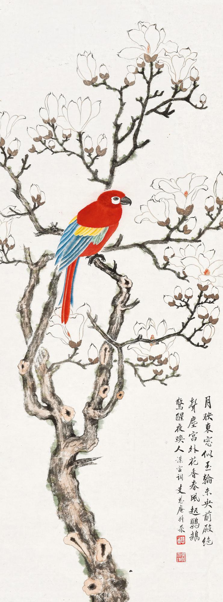 支慈厂 玉兰鹦鹉  