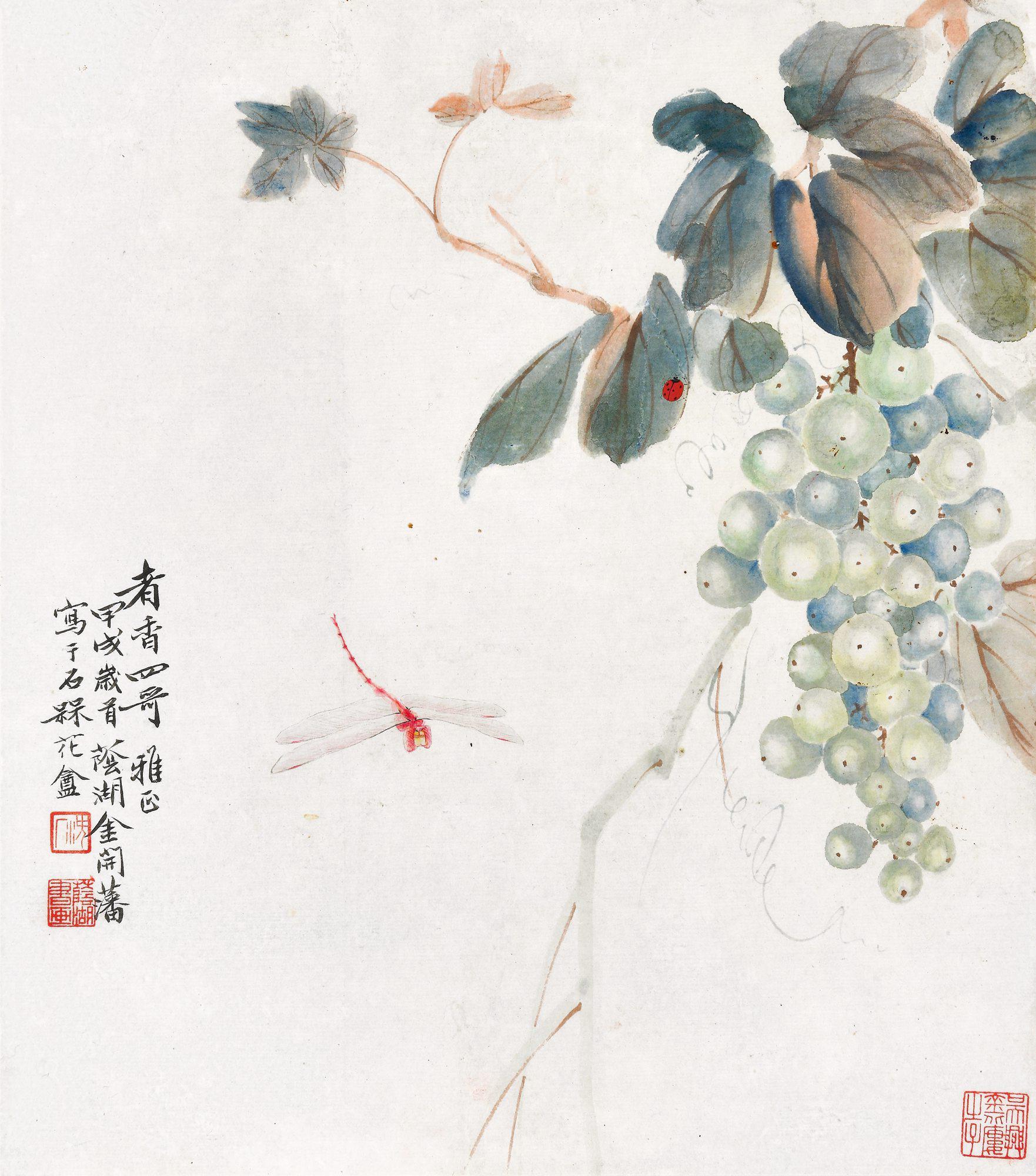 金开藩 葡萄蜻蜓  